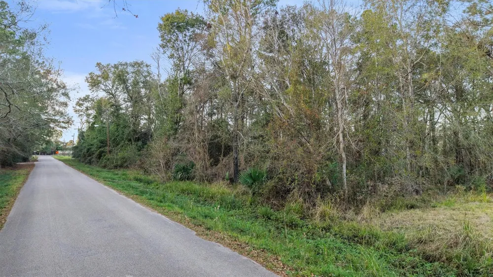 3415 Evergreen Drive Kingwood, TX 77365