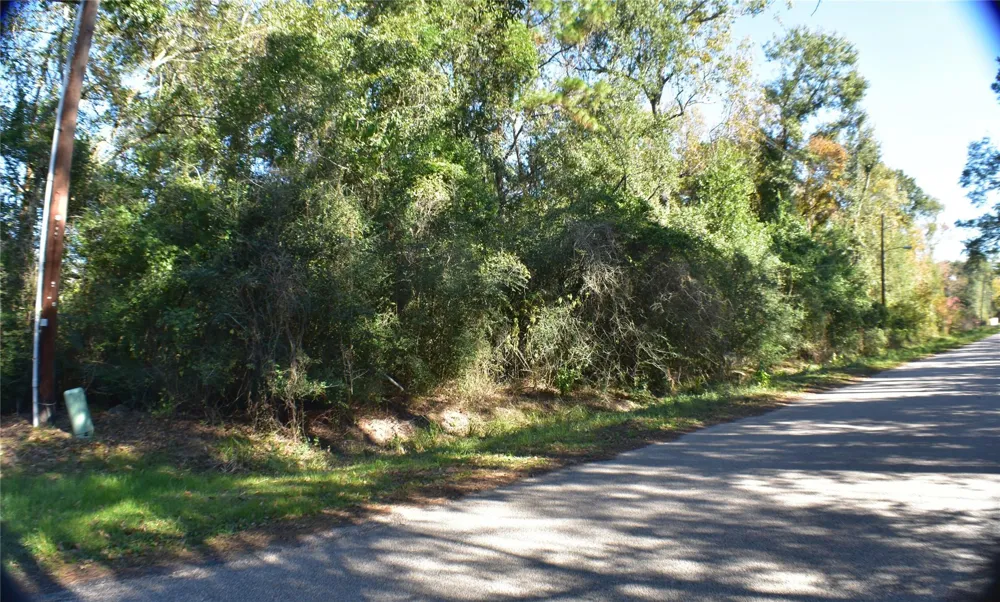 3415 Evergreen Drive Kingwood, TX 77365