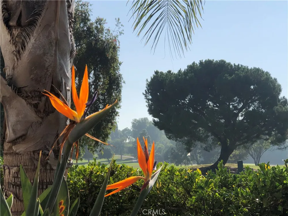 2024 Via Mariposa East #A Laguna Woods, CA 92637