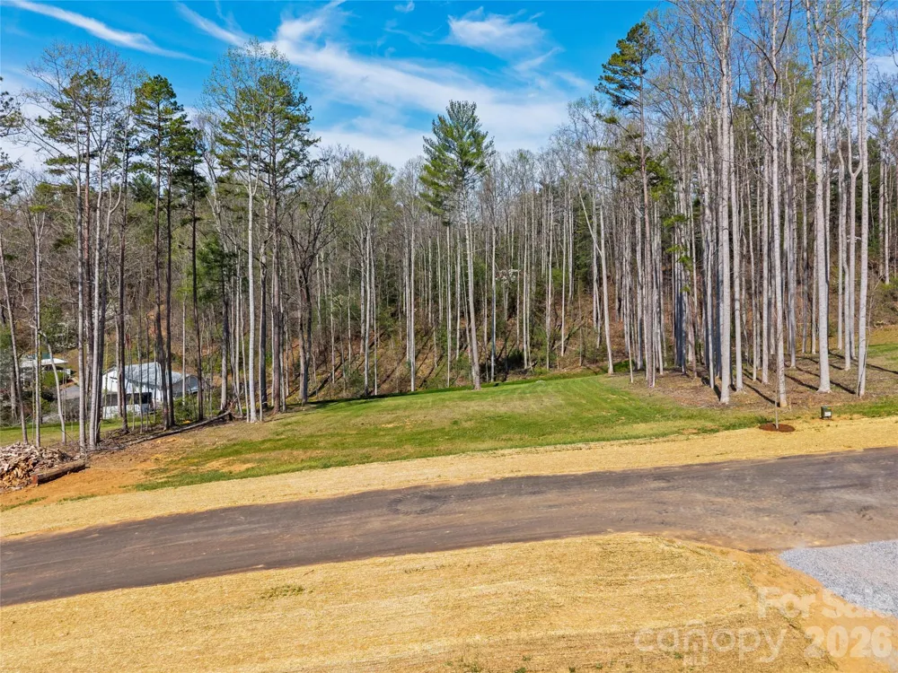 424 Irvine Drive Fairview, NC 28730