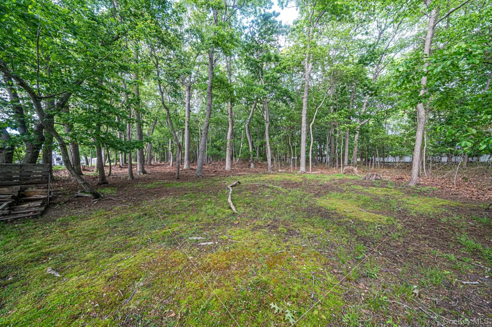 41 Paige Lane Moriches, NY 11955