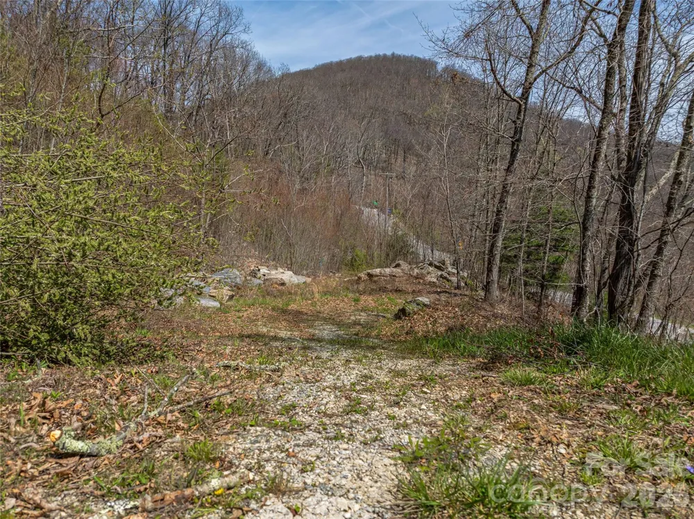 370 Autumn Ridge Lane #75 Hendersonville, NC 28792