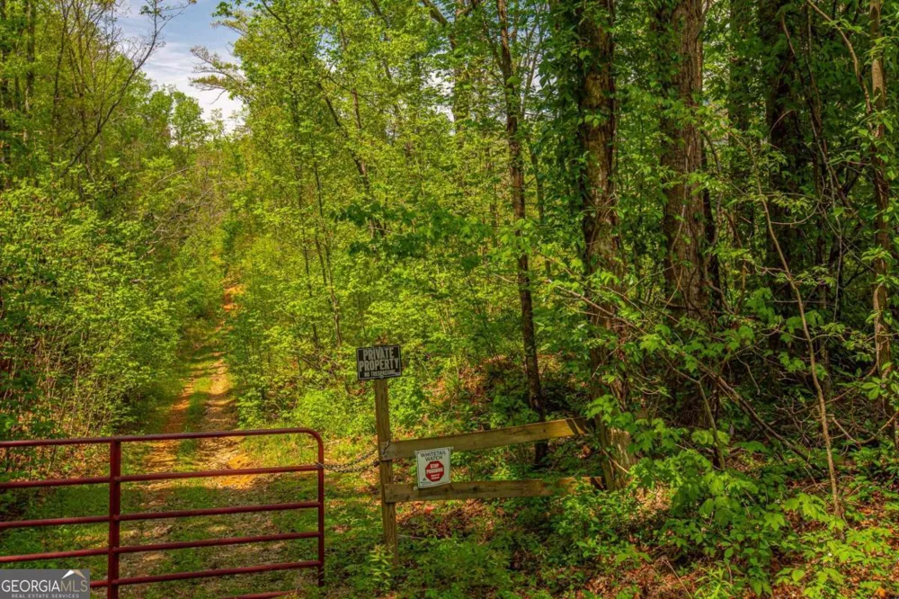 0 Antioch Valley Road Trct 3 Dawsonville, GA 30534