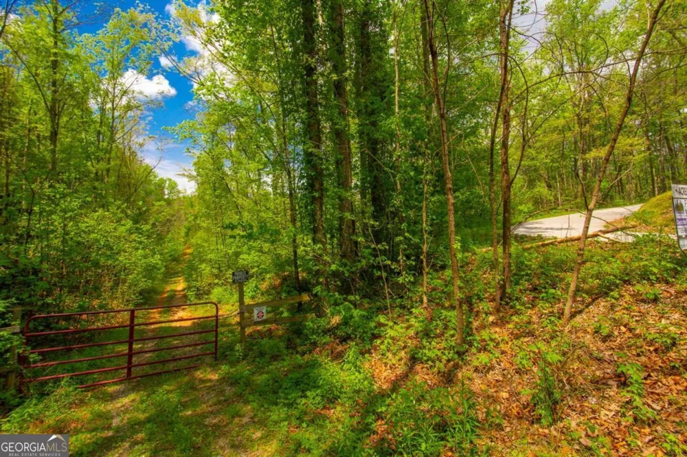 0 Antioch Valley Road Trct 3 Dawsonville, GA 30534