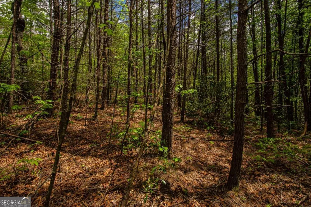 0 Antioch Valley Road Trct 3 Dawsonville, GA 30534