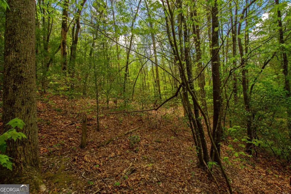 0 Antioch Valley Road Trct 3 Dawsonville, GA 30534