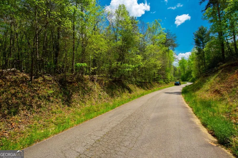 0 Antioch Valley Road Trct 3 Dawsonville, GA 30534
