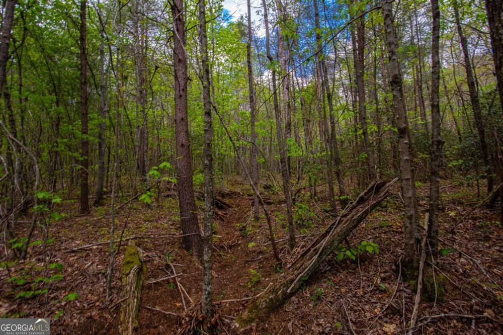 0 Antioch Valley Road Trct 3 Dawsonville, GA 30534