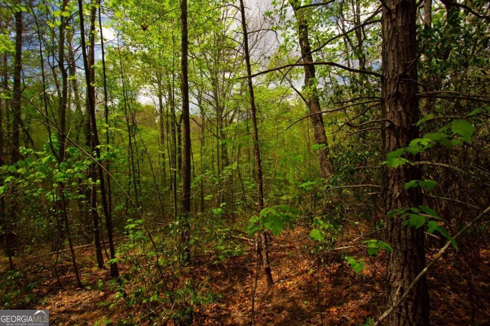 0 Antioch Valley Road Trct 3 Dawsonville, GA 30534