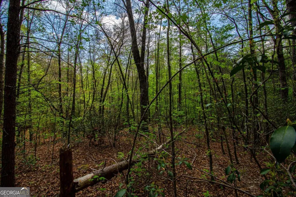 0 Antioch Valley Road Trct 3 Dawsonville, GA 30534