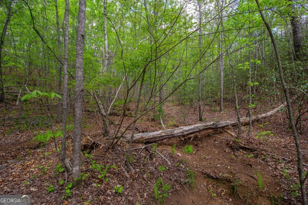 0 Antioch Valley Road Trct 3 Dawsonville, GA 30534