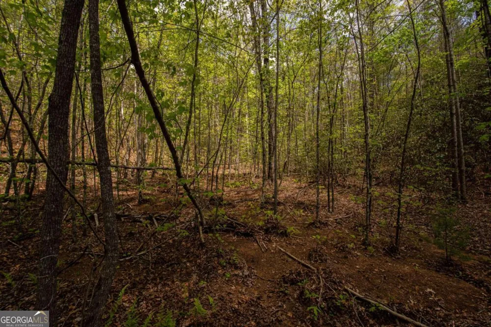 0 Antioch Valley Road Trct 3 Dawsonville, GA 30534