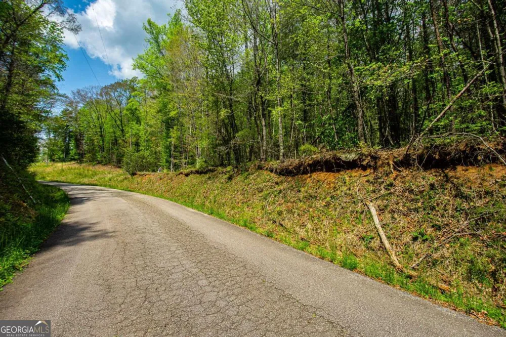 0 Antioch Valley Road Trct 3 Dawsonville, GA 30534