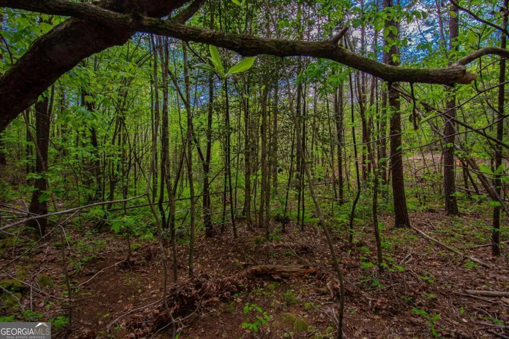 0 Antioch Valley Road Trct 3 Dawsonville, GA 30534