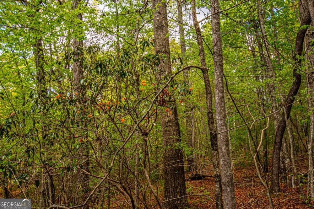 0 Antioch Valley Road Trct 3 Dawsonville, GA 30534