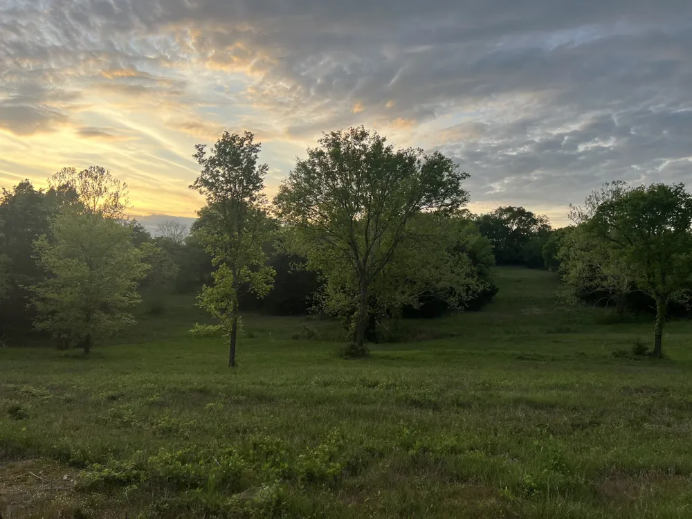 2315 Holloway Rd Lebanon, TN 37090