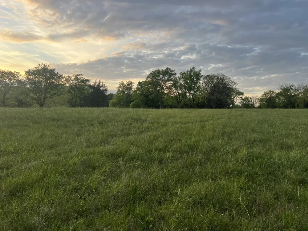 2315 Holloway Rd Lebanon, TN 37090