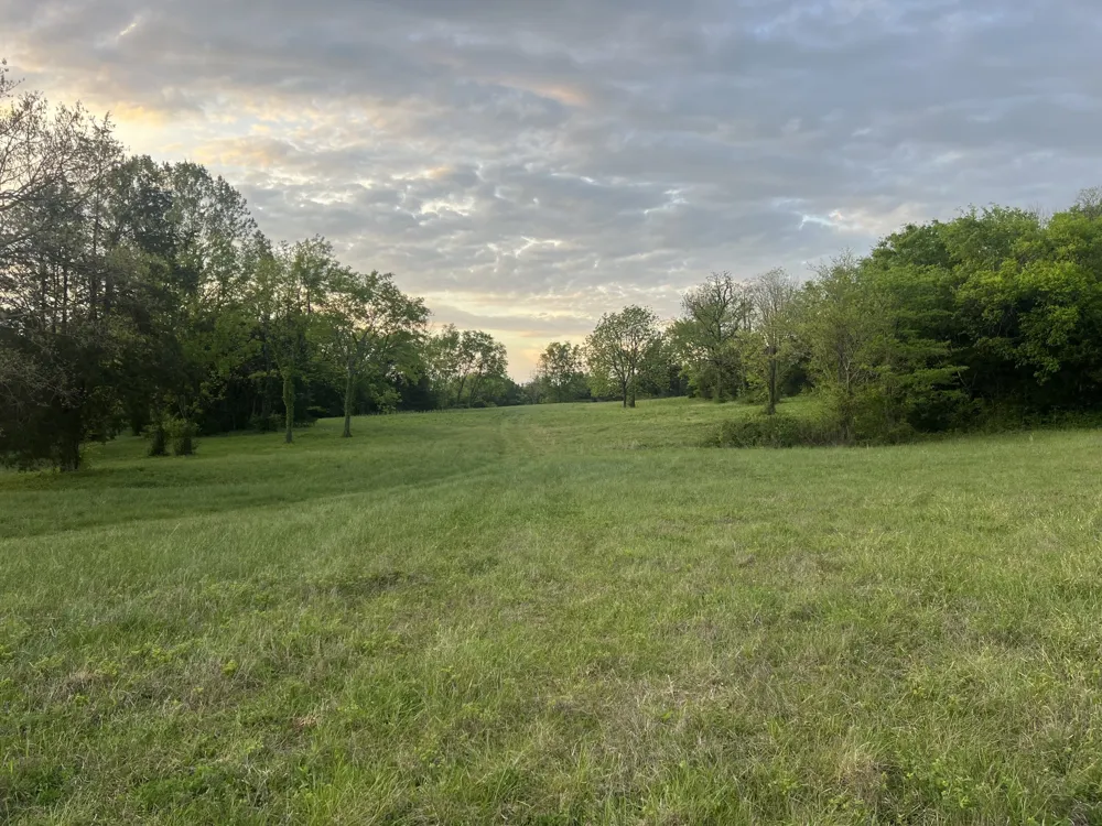 2315 Holloway Rd Lebanon, TN 37090