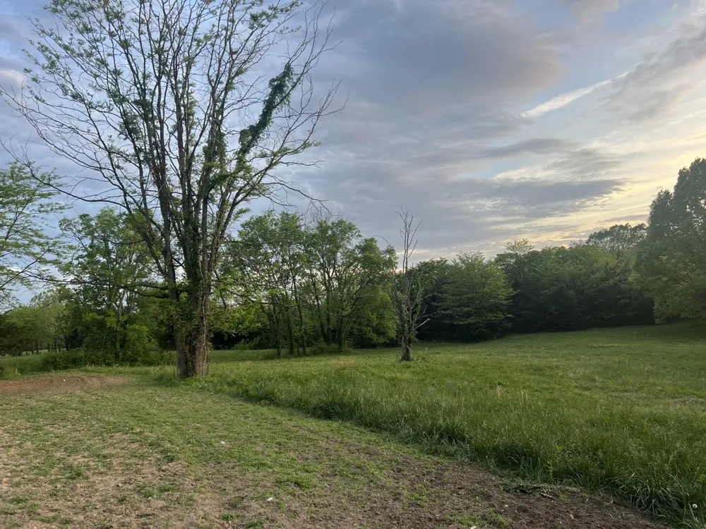 2315 Holloway Rd Lebanon, TN 37090