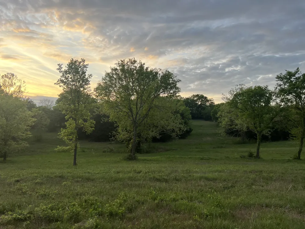2315 Holloway Rd Lebanon, TN 37090