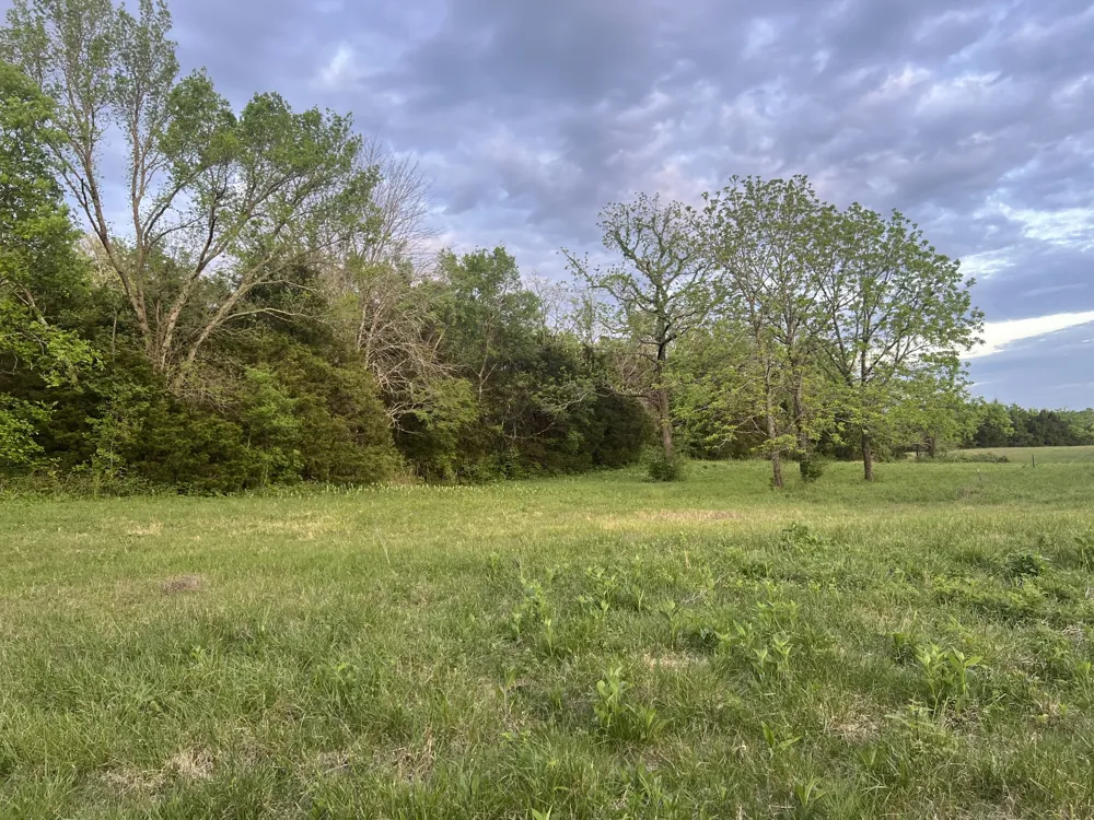 2315 Holloway Rd Lebanon, TN 37090