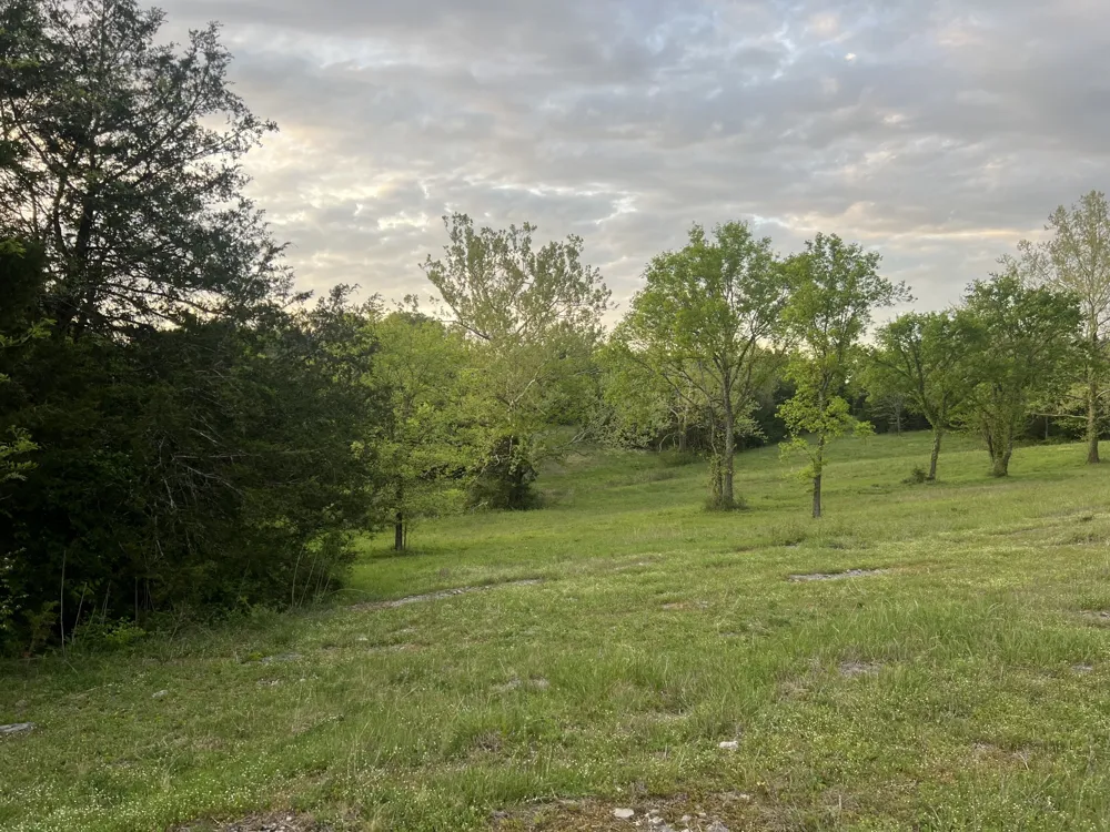 2315 Holloway Rd Lebanon, TN 37090
