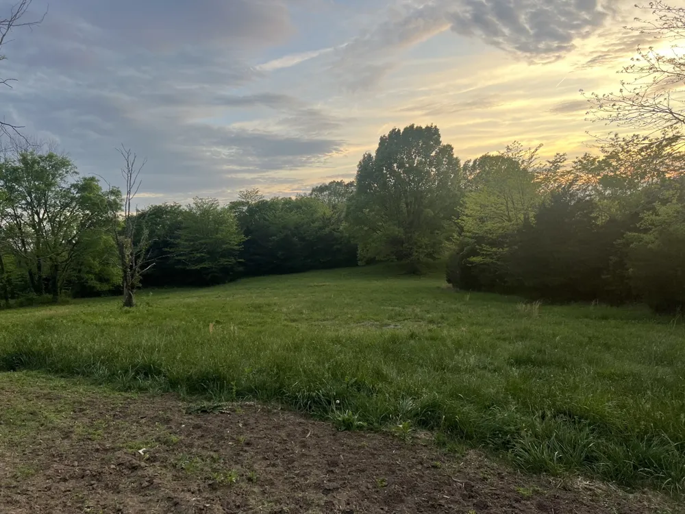 2315 Holloway Rd Lebanon, TN 37090