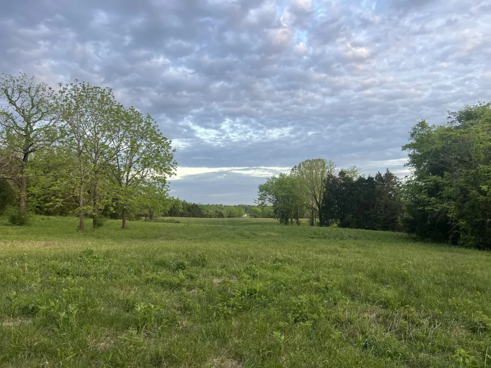 2315 Holloway Rd Lebanon, TN 37090
