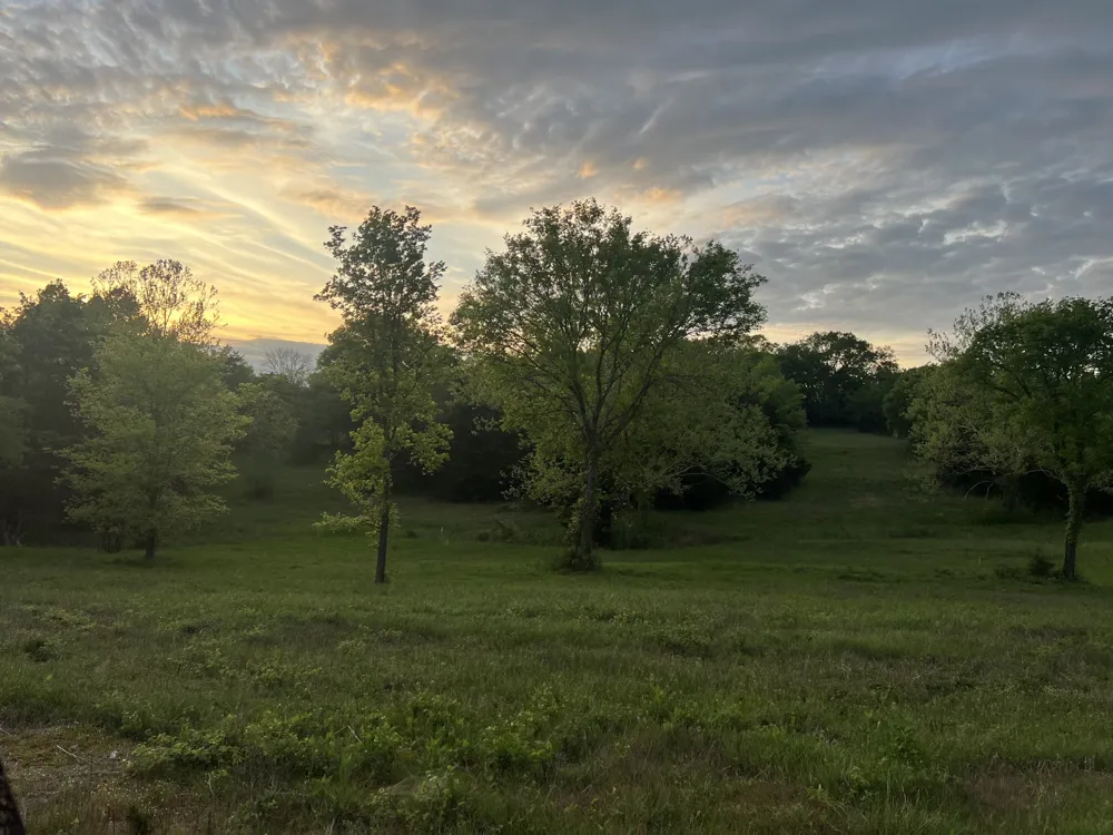 2315 Holloway Rd Lebanon, TN 37090