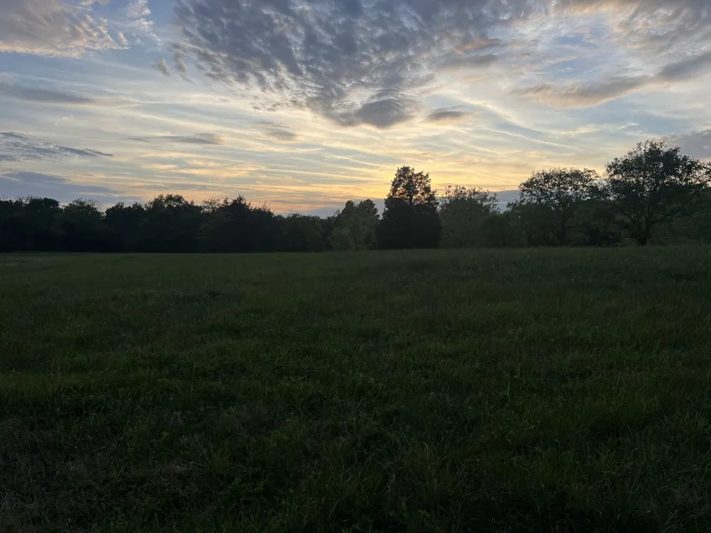 2315 Holloway Rd Lebanon, TN 37090