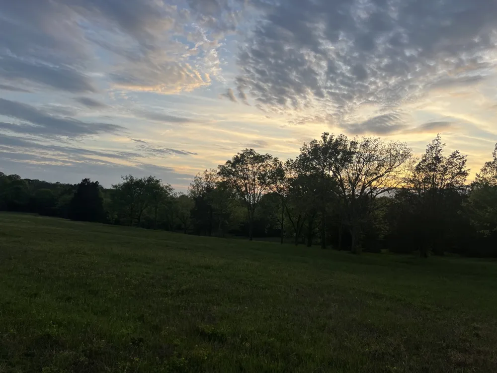 2315 Holloway Rd Lebanon, TN 37090