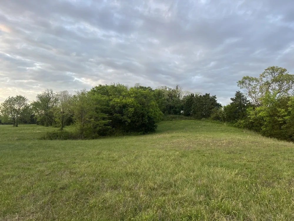 2315 Holloway Rd Lebanon, TN 37090