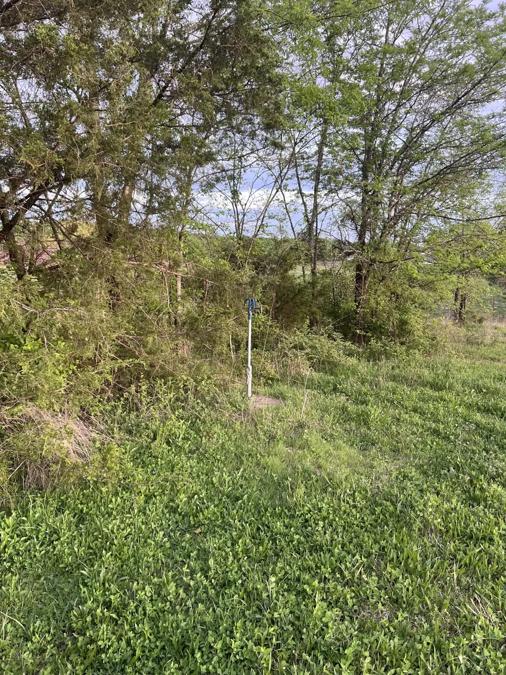 2315 Holloway Rd Lebanon, TN 37090