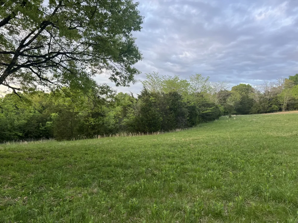 2315 Holloway Rd Lebanon, TN 37090