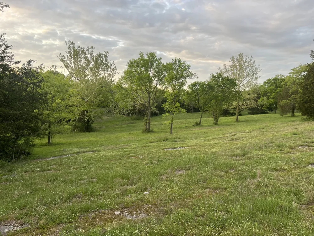 2315 Holloway Rd Lebanon, TN 37090