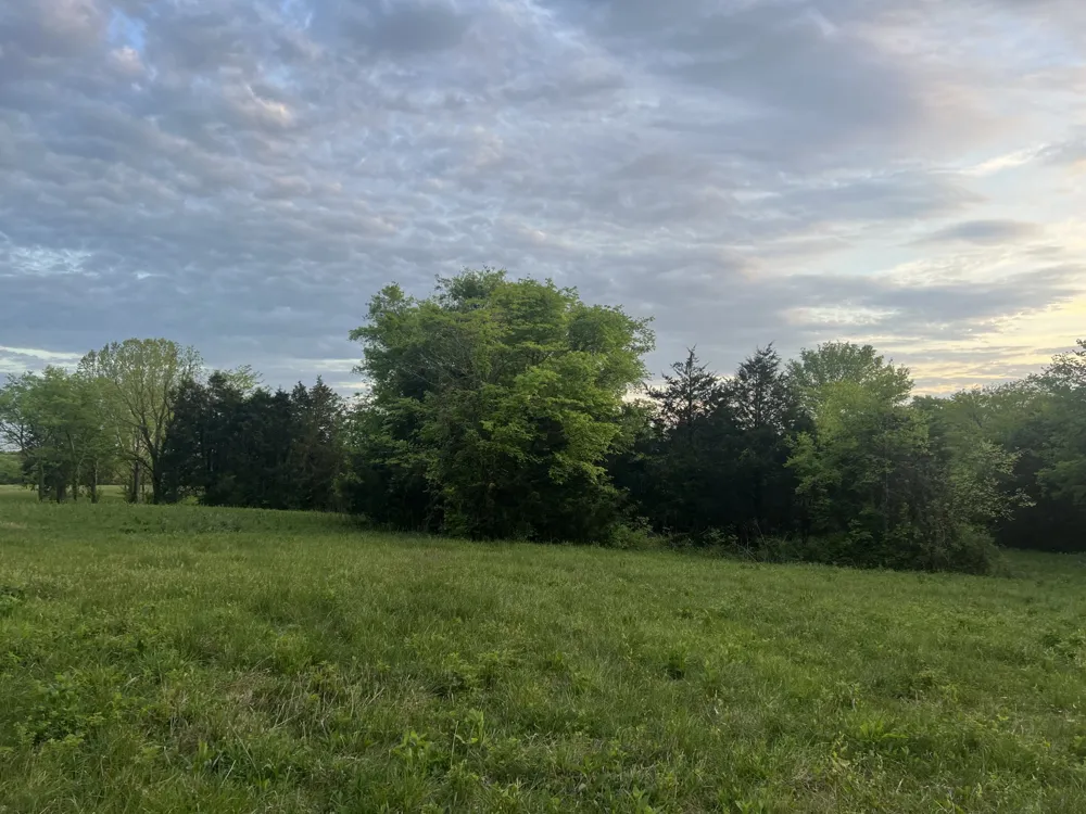 2315 Holloway Rd Lebanon, TN 37090