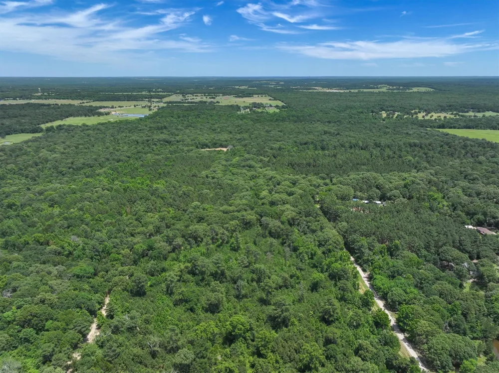 Pvt. Rd 8079 Road Ben Wheeler, TX 75754