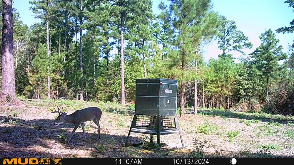 Pvt. Rd 8079 Road Ben Wheeler, TX 75754