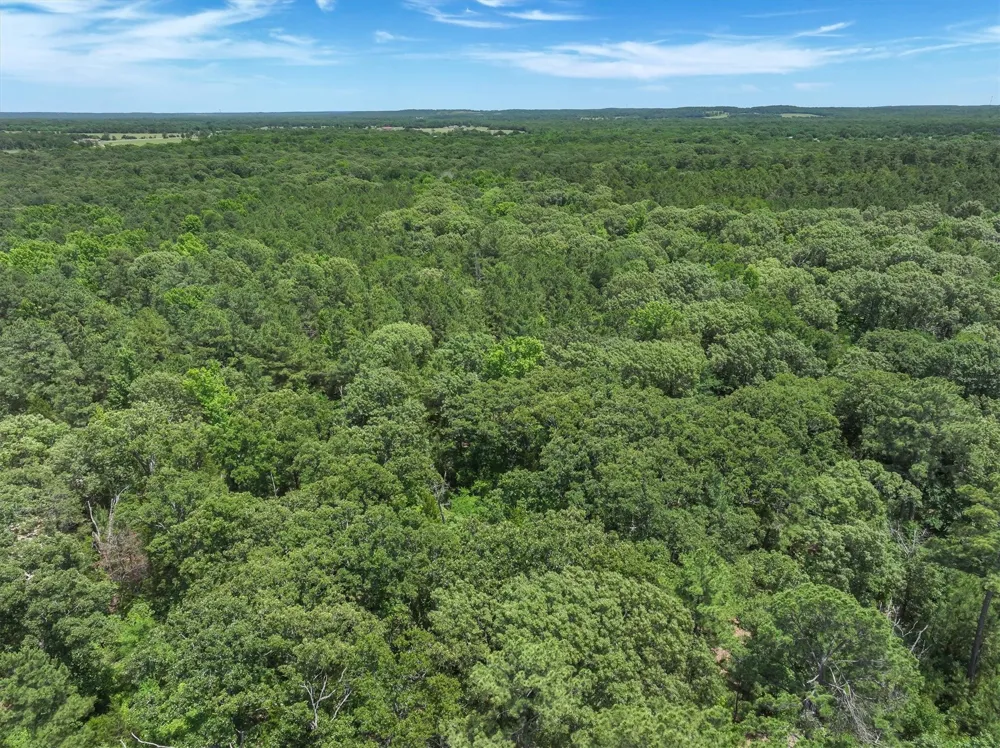 Pvt. Rd 8079 Road Ben Wheeler, TX 75754