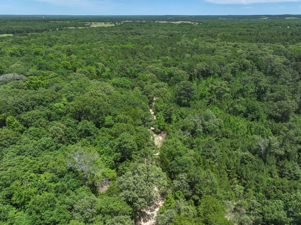 Pvt. Rd 8079 Road Ben Wheeler, TX 75754