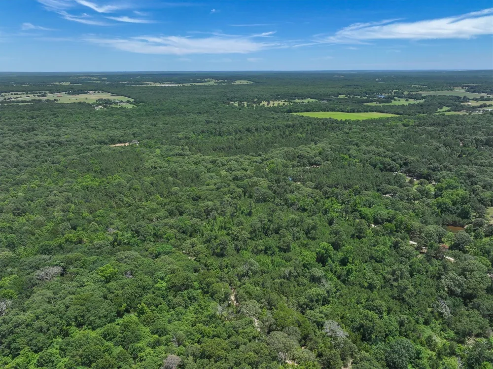 Pvt. Rd 8079 Road Ben Wheeler, TX 75754