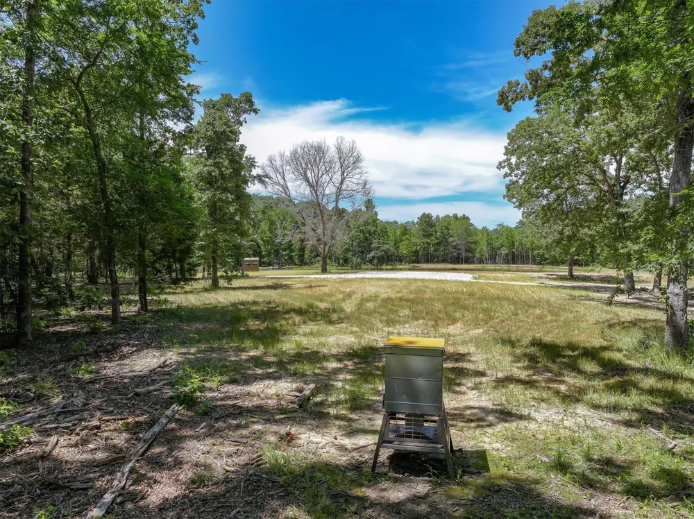 Pvt. Rd 8079 Road Ben Wheeler, TX 75754