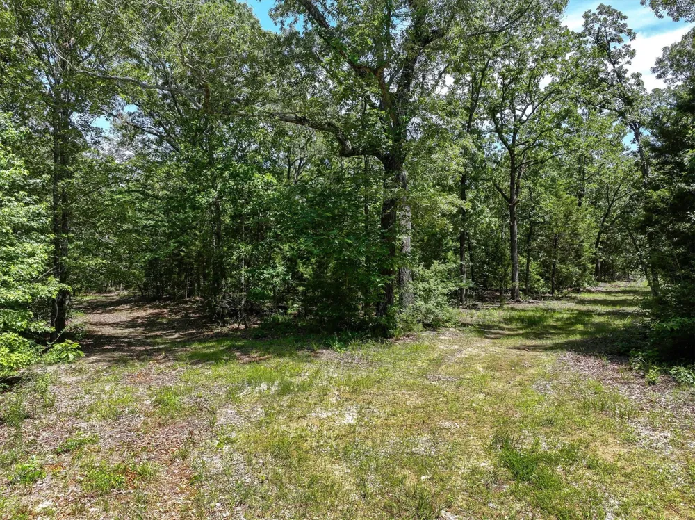 Pvt. Rd 8079 Road Ben Wheeler, TX 75754