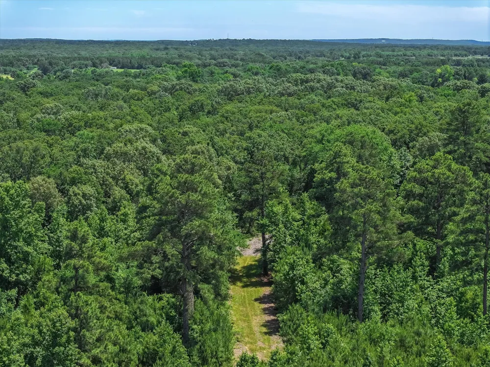 Pvt. Rd 8079 Road Ben Wheeler, TX 75754