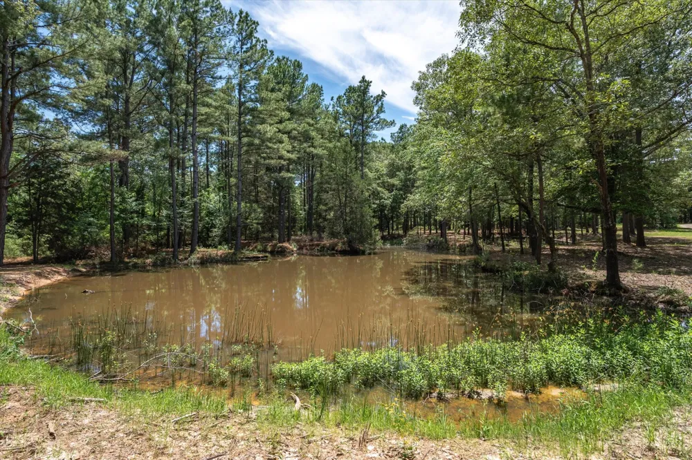 Pvt. Rd 8079 Road Ben Wheeler, TX 75754