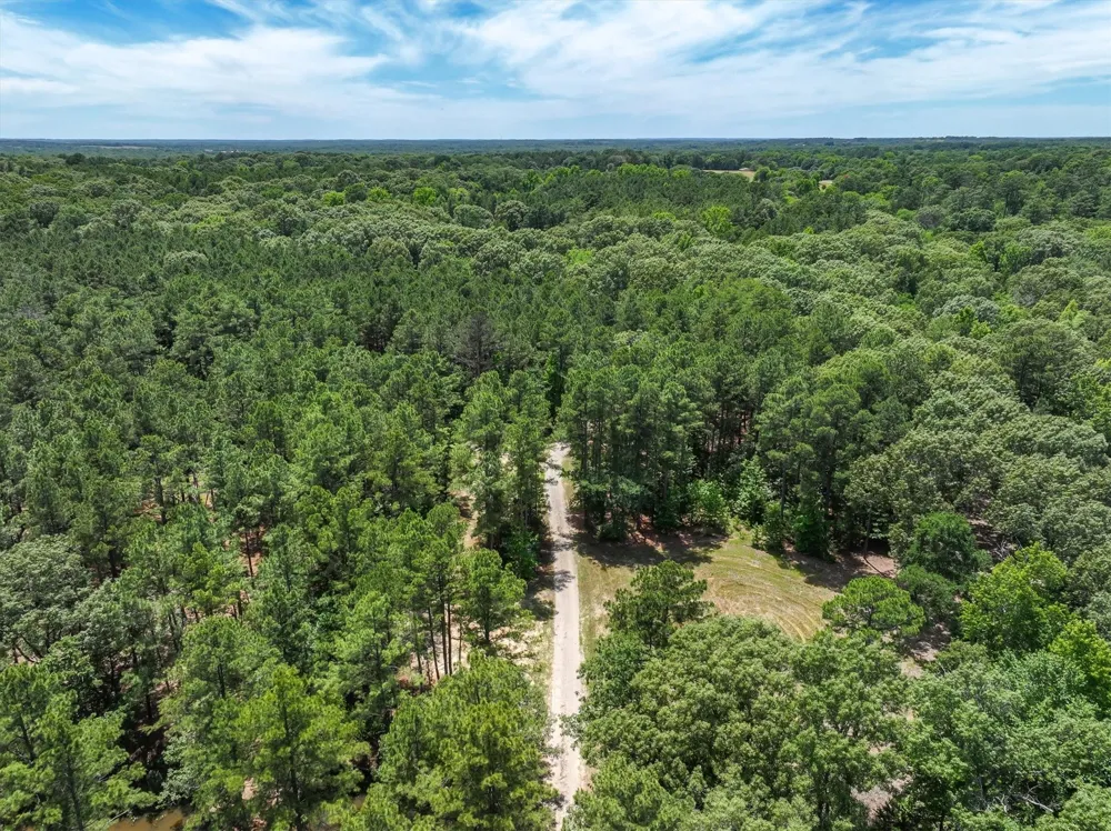 Pvt. Rd 8079 Road Ben Wheeler, TX 75754