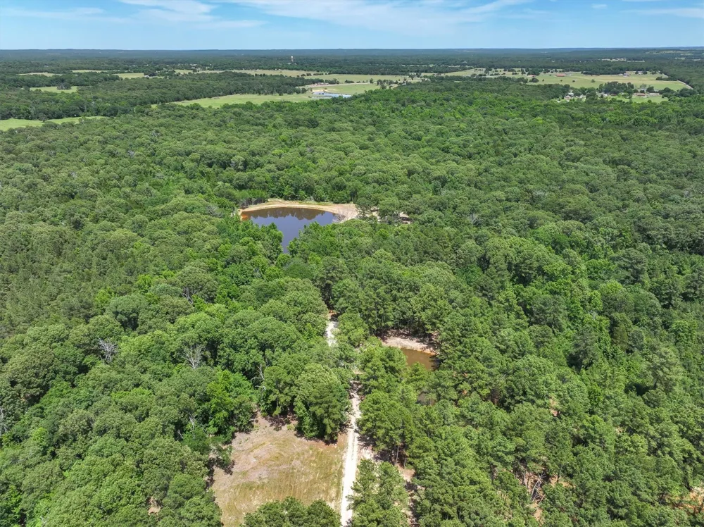 Pvt. Rd 8079 Road Ben Wheeler, TX 75754