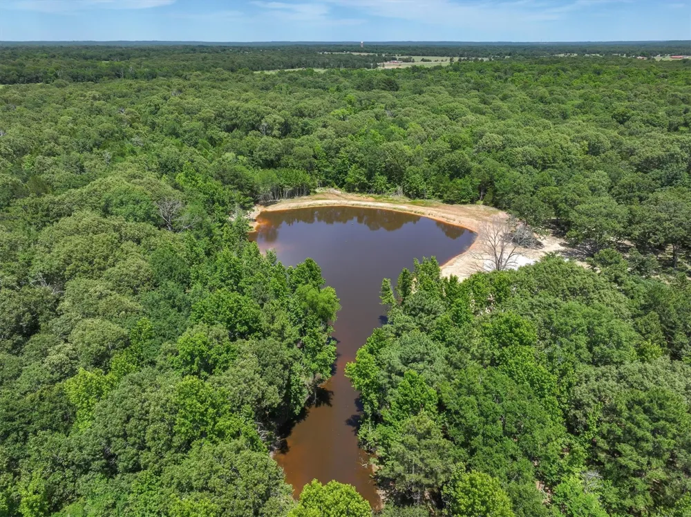 Pvt. Rd 8079 Road Ben Wheeler, TX 75754
