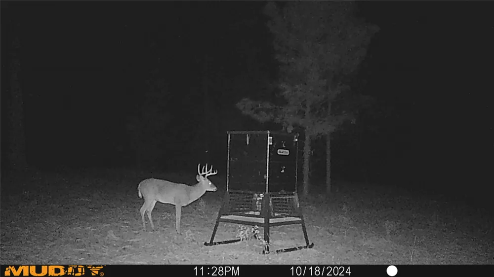 Pvt. Rd 8079 Road Ben Wheeler, TX 75754