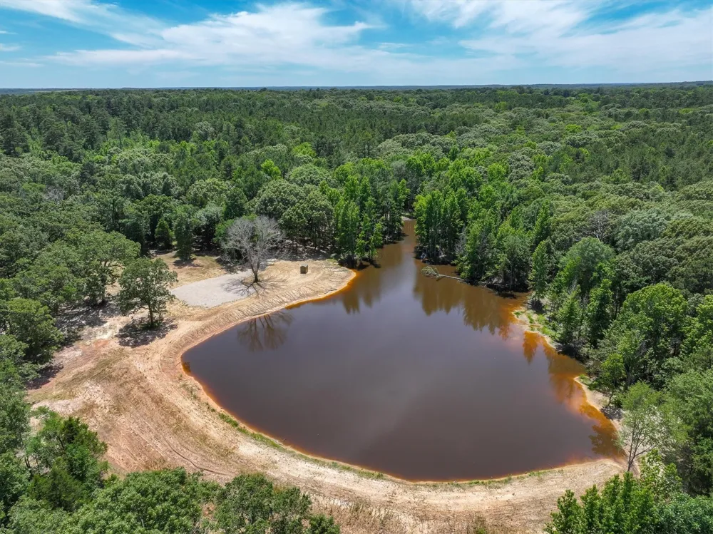 Pvt. Rd 8079 Road Ben Wheeler, TX 75754